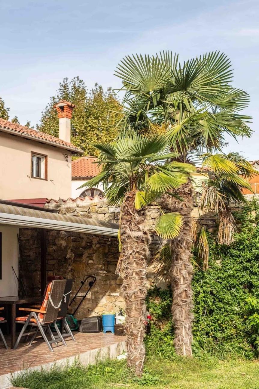 Cozy Corner Apartment Koper Exterior photo